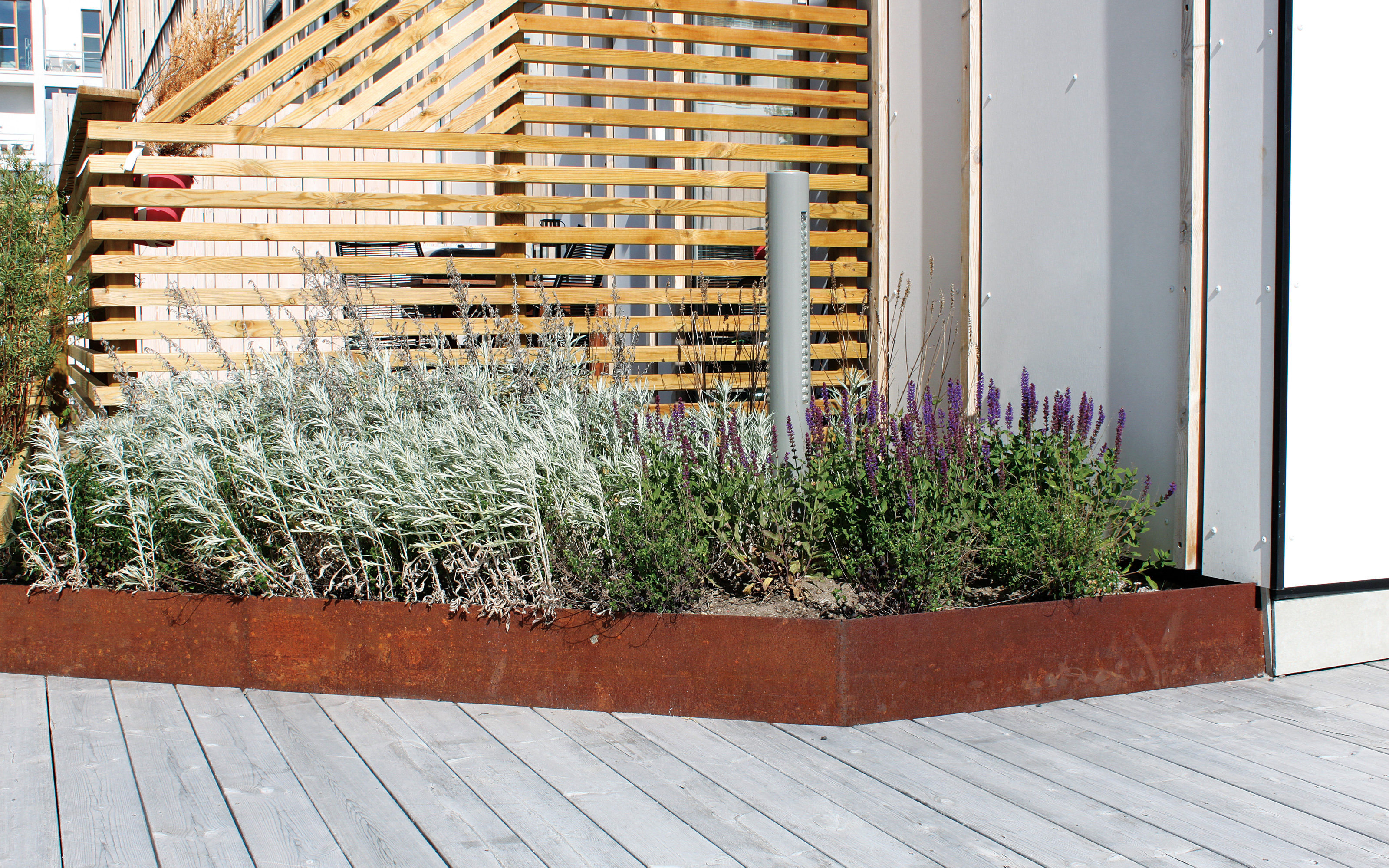 The metal edgings with rust patina around planting beds blend in well with the natural design of the roof garden. Plant bed with herbs and rusty metal edging on a wooden deck.